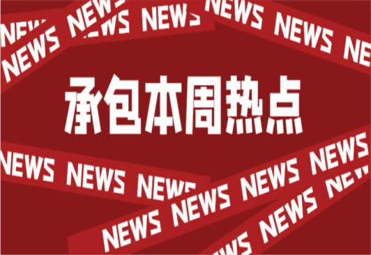 高壓、低壓接入的工商業(yè)儲(chǔ)能電站長啥樣？